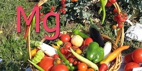 Нехватка магния? Вам помогут эти 4 продукта — МедНовости