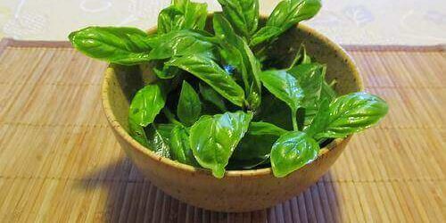 Названы продукты, улучшающие память и работу мозга