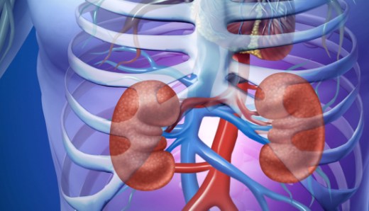 Анализ крови может показать людей, которых поразит рак почки