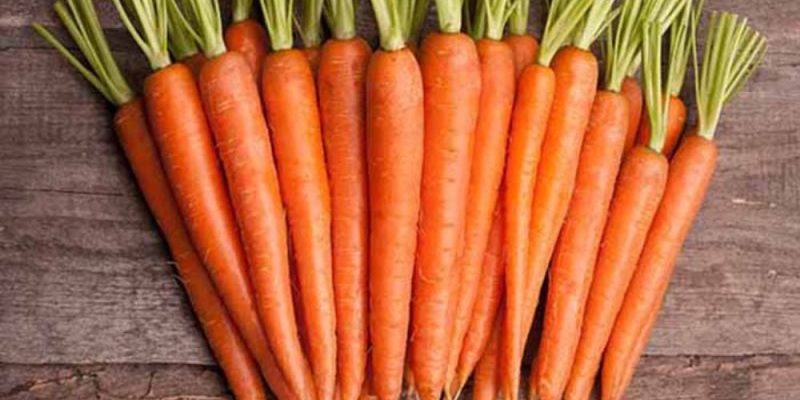 11 полезных свойств моркови, о которых вы могли не знать