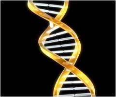 Генетики апробировали новый метод редактирования генома человека