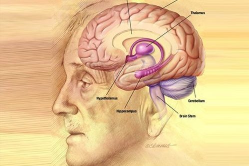 Тусклая память о прошлом может оказаться фактором риска тяжелой болезни — МедНовости