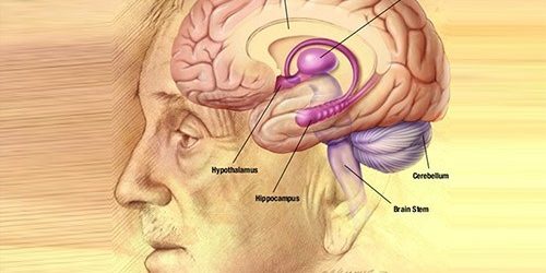 Тусклая память о прошлом может оказаться фактором риска тяжелой болезни — МедНовости