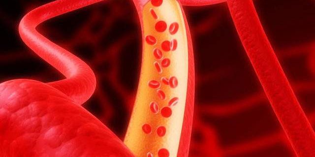 Названы лучшие продукты для очистки сосудов