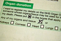 Британия придумала, как решить проблему нехватки донорских органов