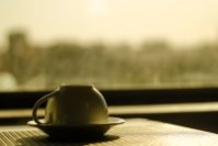 ФАС не нашла признаков недобросовестной конкуренции в действиях «Нативы»