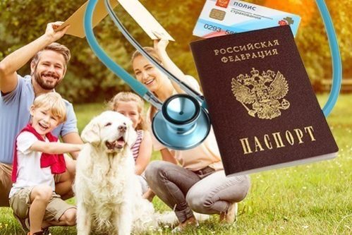 Познакомьтесь со своим страховым представителем — МедНовости