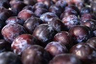 Сливы — уникальный суперпродукт, заявляют медики