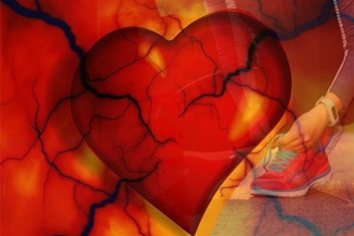 Хорошая физическая форма не спасает от болезней сердца — МедНовости