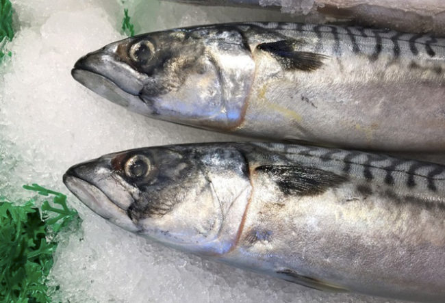 Глупые мифы о рыбе — Медицина 2.0