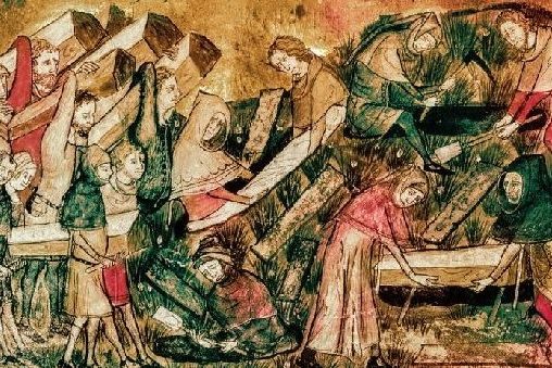 Названа одна из самых полезных ягод для желудка