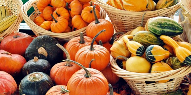 Что покупать на рынке в сентябре: 7 самых полезных сезонных продуктов