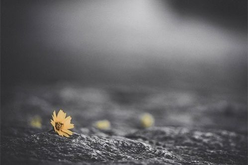 Хроническая боль может толкать людей на самоубийство — МедНовости