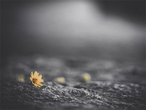 Хроническая боль может толкать людей на самоубийство — МедНовости