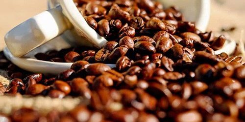 Кофеин продлевает жизнь почечным больным — МедНовости