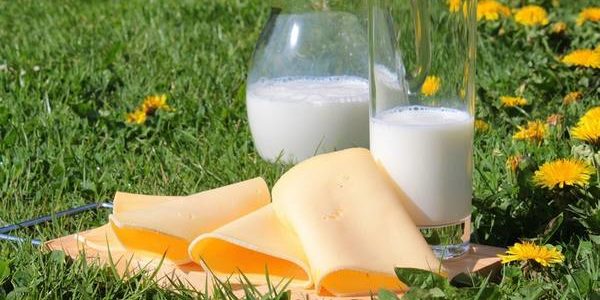 Молочные продукты должны спасти вас от смерти, обещают кардиологи