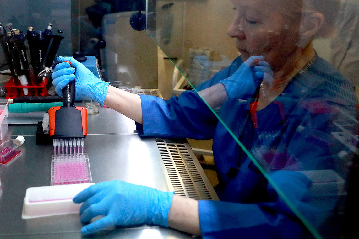 Скворцова: новая вакцина от туберкулеза успешно прошла доклинические исследования — Общество