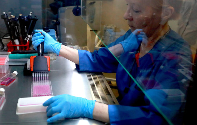 Скворцова: новая вакцина от туберкулеза успешно прошла доклинические исследования — Общество