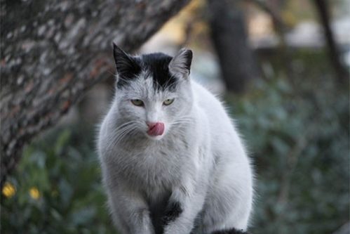 Голод может вызывать долгосрочные нарушения настроения: депрессию и тревожность — МедНовости