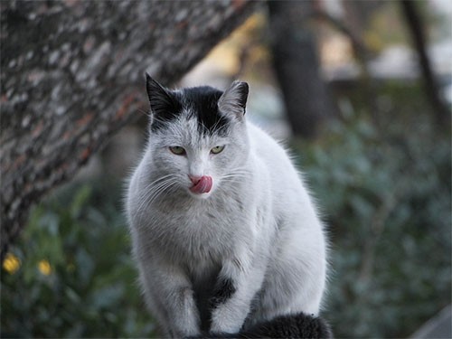 Голод может вызывать долгосрочные нарушения настроения: депрессию и тревожность — МедНовости