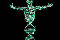 Большая часть генома человека оказалась бесполезной, показал анализ