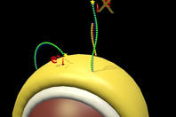 Диагностировать раковое заболевание стало намного проще