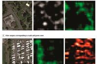 Искусственный интеллект создал продвинутую карту ожирения