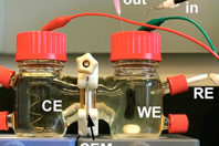 Кишечные бактерии можно превратить в батарейки, уверены ученые