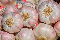 Медики: чеснок полезен, но относиться к нему стоит с осторожностью