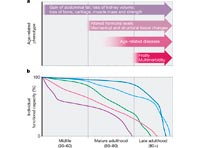 Молодая кровь признана универсальным лекарством против всех болезней
