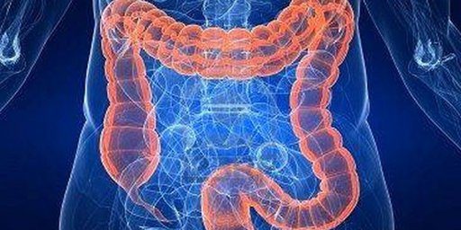 Четыре ведущие причины рака кишечника