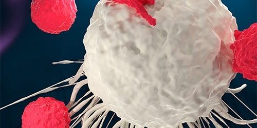 Прорыв в терапии рака — МедНовости