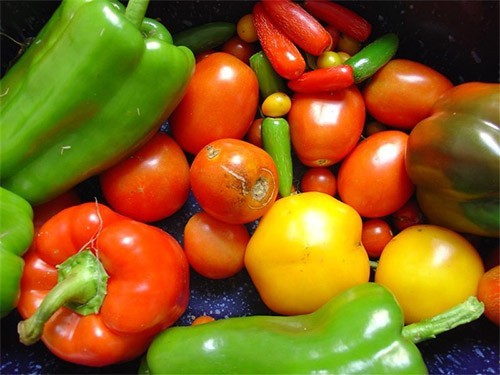 В овощах нашли вещество, которое может продлевать жизнь на 10% — МедНовости