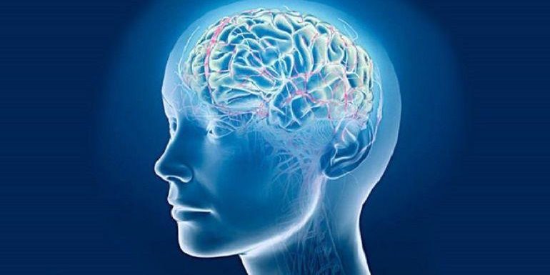 Улучшить работу мозга можно всего за 10 минут тренировок