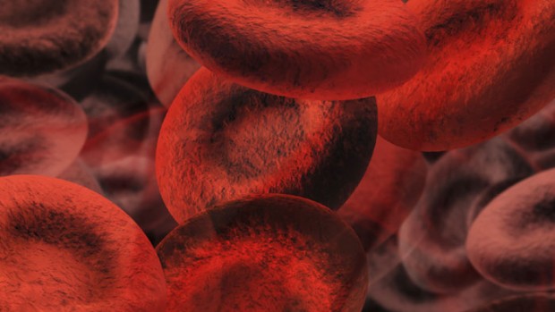 Бутылки из пластика вредят человеческой способности к размножению