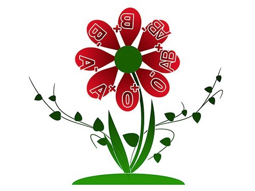 «Стоимость регистра доноров в 10 раз меньше, чем ушло на строительство стадиона «Зенит-Арена»» — МедНовости