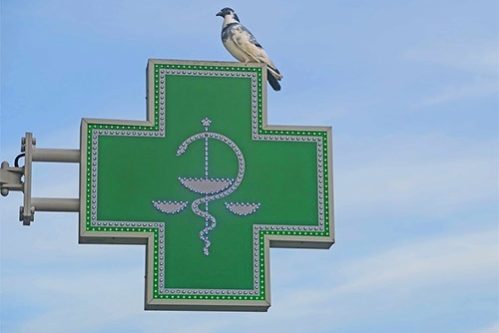 IQVIA: Большинство пациентов, имеющих право на льготные лекарства, покупает их самостоятельно — МедНовости