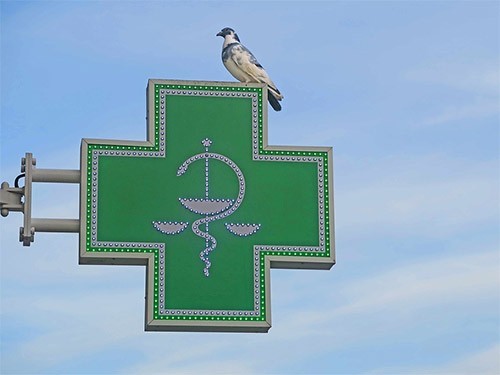 IQVIA: Большинство пациентов, имеющих право на льготные лекарства, покупает их самостоятельно — МедНовости