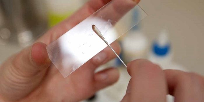 5 вещей, о которых не надо переживать на правильном питании