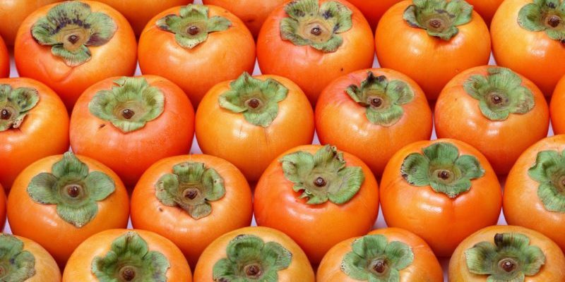 Как выбрать вкусную хурму — Медицина 2.0