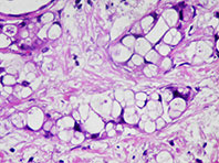 Исследователи из России представили уникальную систему доставки лекарств