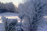 Кардиологи призывают сердечников опасаться зимних холодов