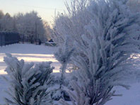 Кардиологи призывают сердечников опасаться зимних холодов