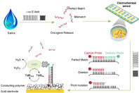 Онкологи проверили уникальный метод ранней диагностики рака