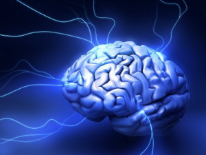 Связь между мозгом и кишечником играет особую роль в психическом здоровье человека