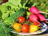 Ученые заявили о принципиальной невозможности правильного питания