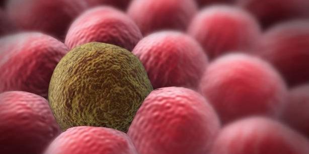 Ученые научат рак самоуничтожаться — Медицина 2.0