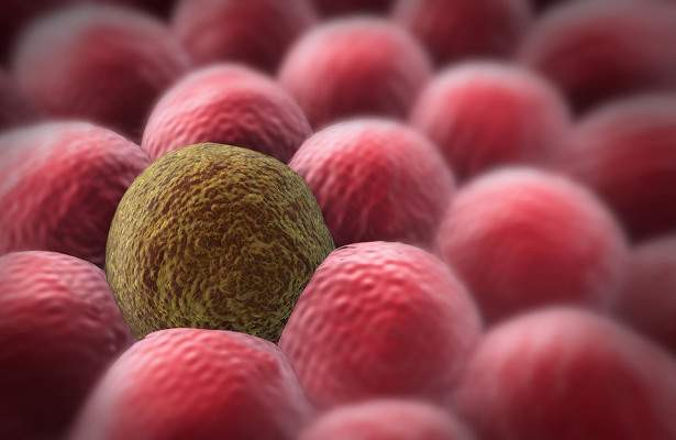 Ученые научат рак самоуничтожаться — Медицина 2.0