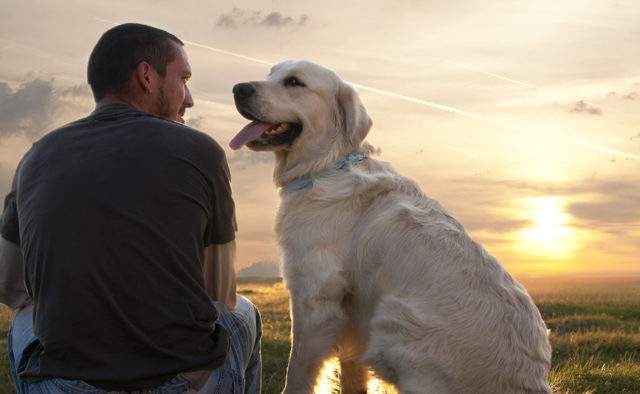Ученые рассказали, какие болезни могут вылечить животные