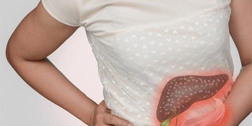 Жирная пища наносит необратимый вред печени — МедНовости